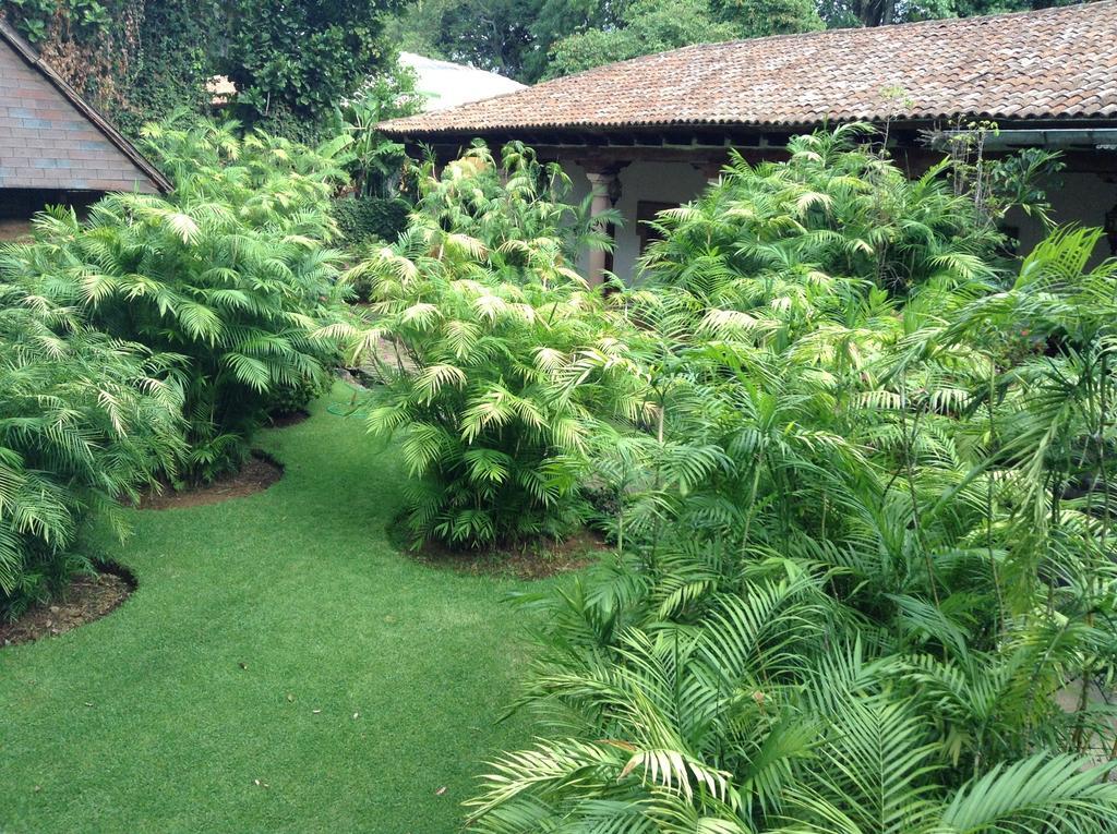Hacienda San Pedro Hotel Uruapan  Esterno foto